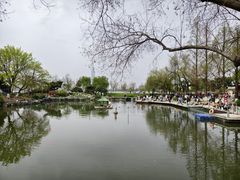 -玄武湖景区-情侣园游乐场