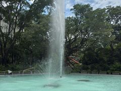 -九龙公园