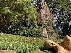 -雁南飞茶田景区