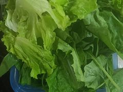 -养生竹荪鸡汤