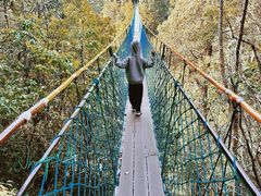 -云南屏边大围山国家公园