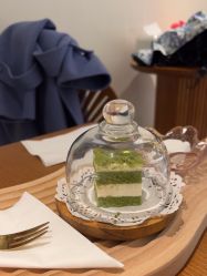 -玛莲朵·海菲秀冰珀科