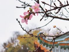 -宝墨园景区