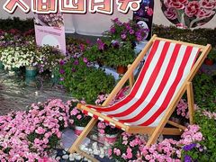-深圳市中科院仙湖植物园
