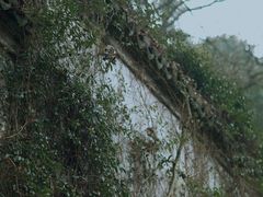 -宁波市保国寺古建筑博物馆