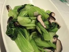 -渝信川菜(新辰里亚运村店)