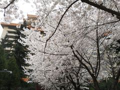 -莲湖公园