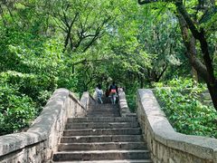 -千佛山风景名胜区