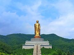 -中原大佛景区