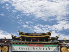 -塔尔寺菩提树