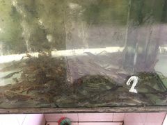 -湾里人家(旺山景区店)