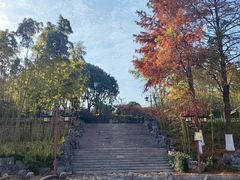 -求雨山文化公园