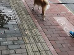 -螺世纪螺蛳粉·桂味小排档(裕德店)