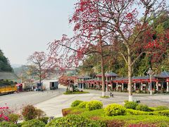 -友谊关景区