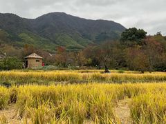 -塔川景区