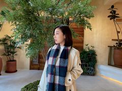 -白茶原·一片叶子
