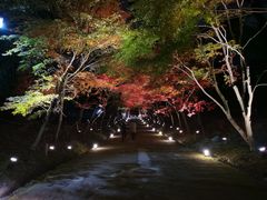 -醍醐寺