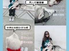 -星多哈·狗咖·拼豆·咖啡