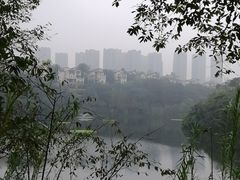 -重庆彩云湖湿地公园
