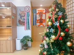 -猫十亿·布偶金渐层·曼基康矮脚猫舍(青年路店)