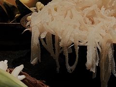 -胖碗火锅(观音桥店)