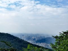 -梧桐山风景名胜区