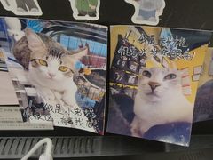 -谜盒子奇幻密室(南屏店)