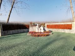 -合肥滨湖国家森林公园