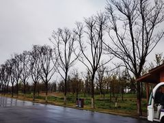 -江苏省泗阳县成子湖旅游度假区综合服务中心-停车场