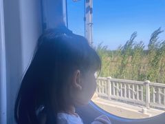-沈阳站