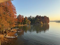 -东湖落雁景区