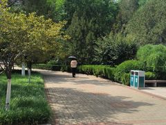 -山东师范大学(千佛山校区)
