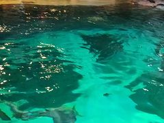 -瑞普利水族馆