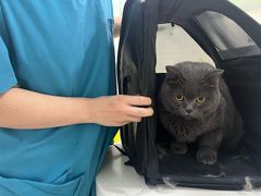 -佳雯宠物医院·皮肤科·内外科(春晓路分院)