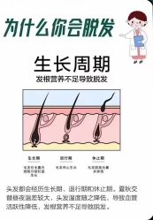 -希梵尔头皮抗衰·科技养发