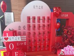 -利星行天竺之星汽车有限公司