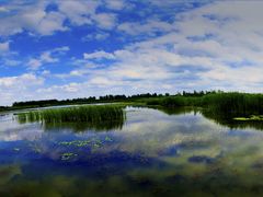 -溱湖国家湿地公园