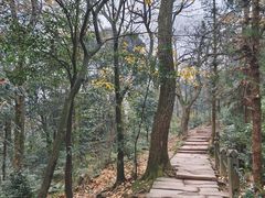 -青城山