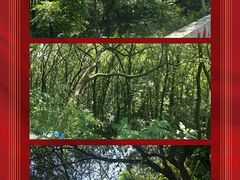 -武汉大学老图书馆