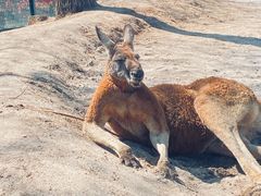 -南京汤山紫清湖生态旅游温泉度假区