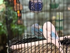 -丽江庭院之丽江往事(安定门店)