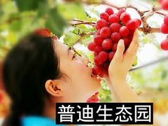 -普迪生态园