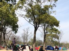 -吴淞炮台湾湿地森林公园烧烤区