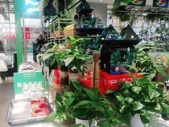 -麻辣空间·清油火锅(万达广场店)