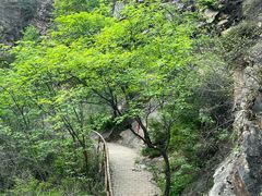 -九龙潭景区