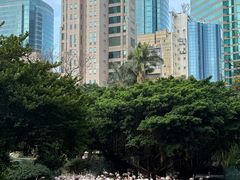 -九龙公园