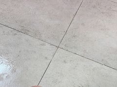 -重庆市奥林匹克体育中心-游泳跳水馆