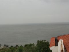 -云南巷海鲜大咖·可加工海鲜