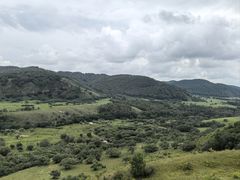-御道口草原森林风景区