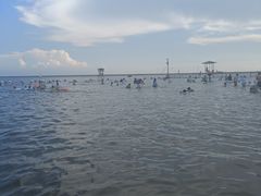 -碧海金沙